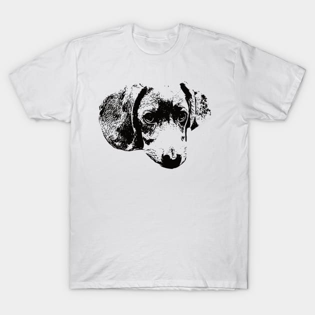 Dachshund Face Design - A Doxie Christmas Gift T-Shirt by DoggyStyles